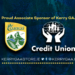 Kerry GAA - associate sponsor credit union website graphic 1